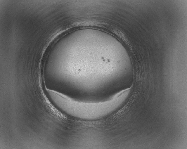 X0000051250984200507011648