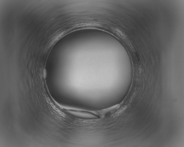 X0000051250985200507011648