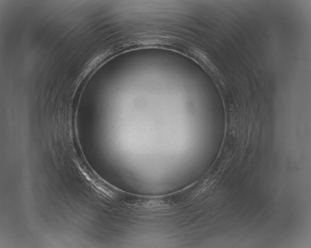 X0000051250986200507011648