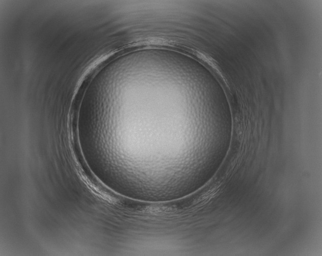 X0000051250987200507011648