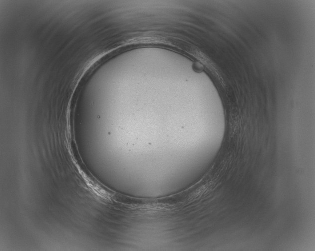 X0000051250988200507011648