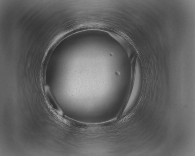 X0000051250989200507011647