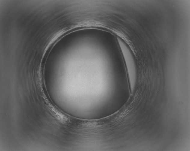 X0000051250990200507011647