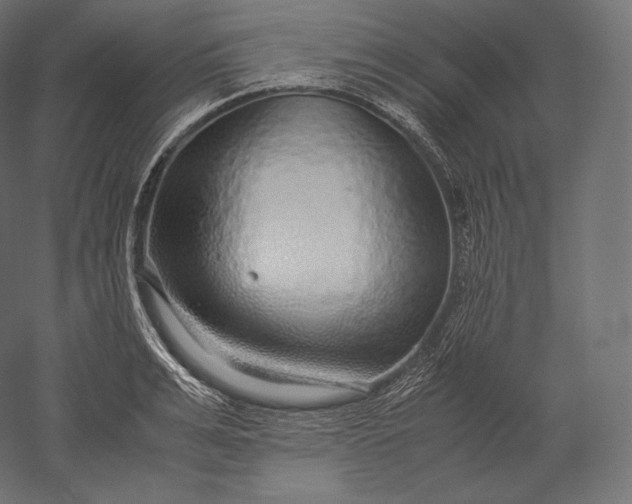 X0000051250991200507011647