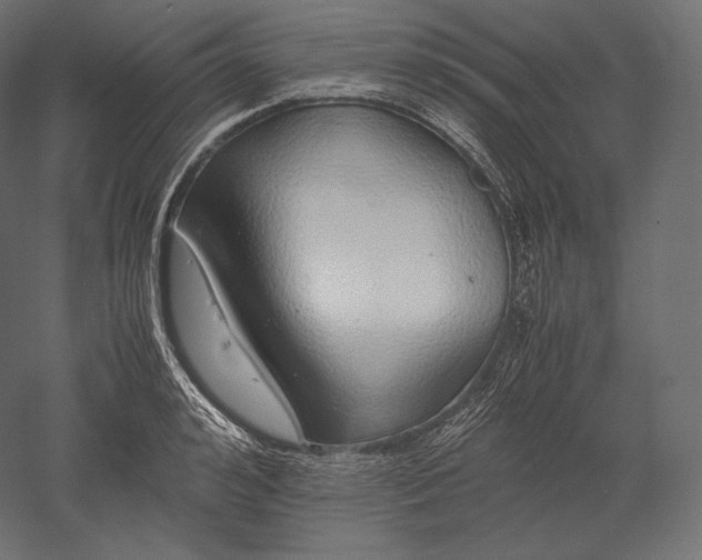 X0000051250992200507011647