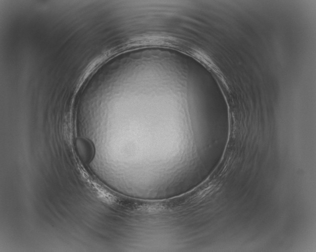 X0000051250994200507011647