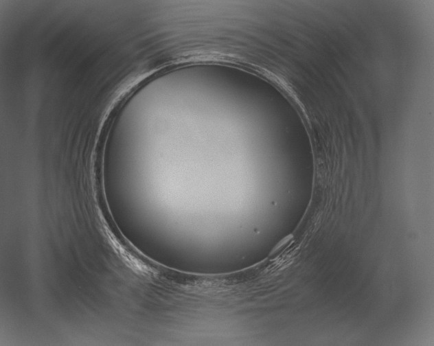 X0000051250995200507011647