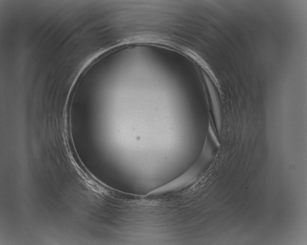 X0000051250996200507011647