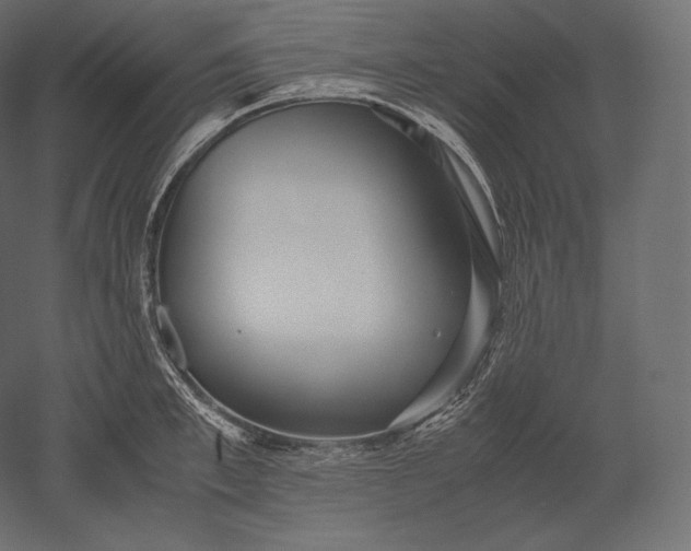 X0000051250997200507011647