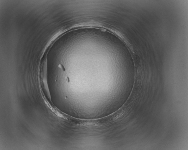 X0000051250998200507011647