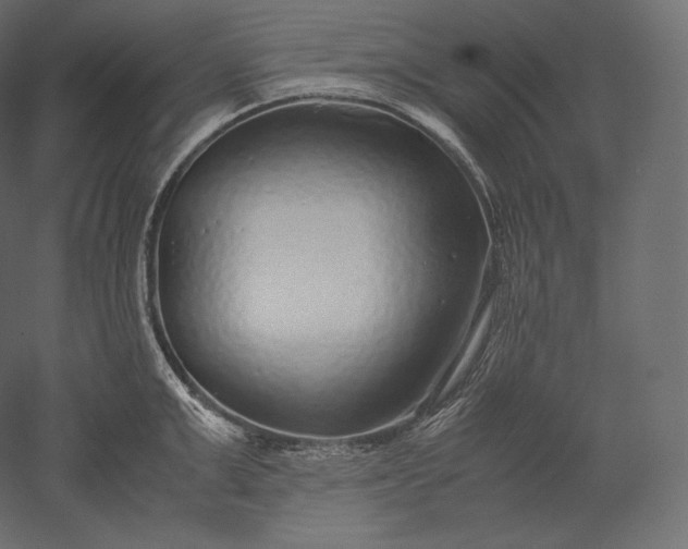 X0000051250999200507011647