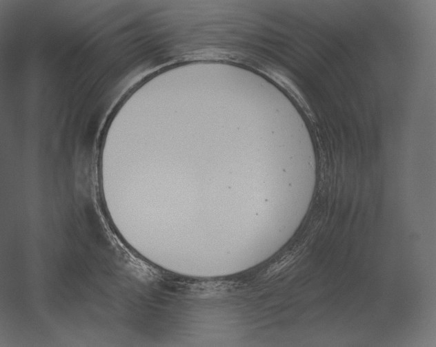 X0000051251000200507011647