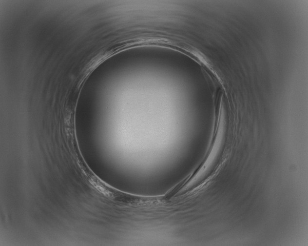 X0000051251001200507011647