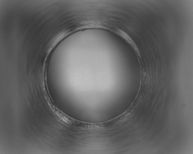 X0000051251002200507011647