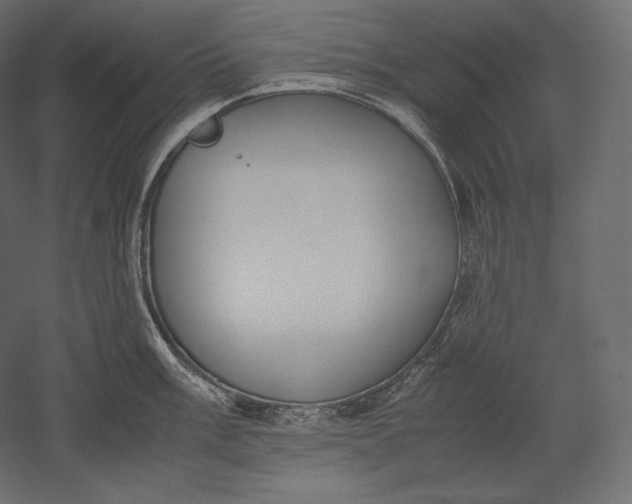 X0000051251003200507011647