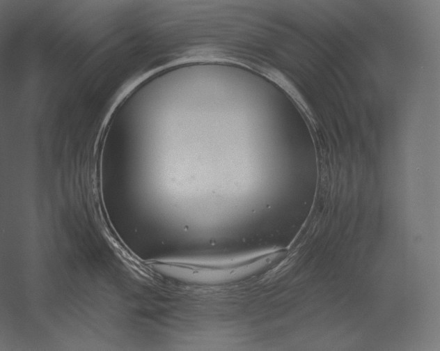 X0000051251004200507011647