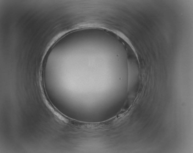 X0000051251005200507011647