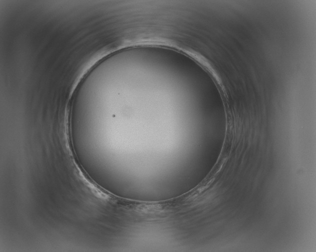 X0000051251006200507011647