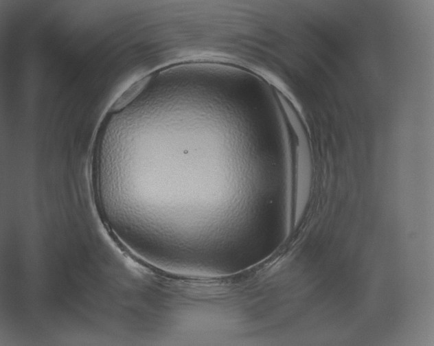 X0000051251007200507011647