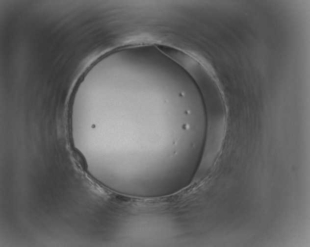 X0000051251008200507011647