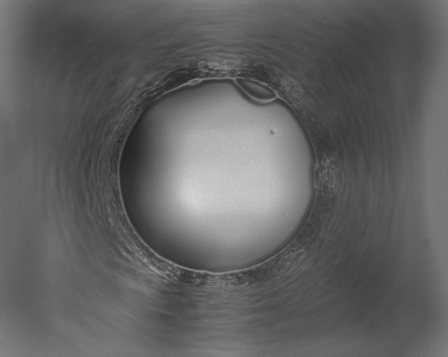 X0000051251009200507011646