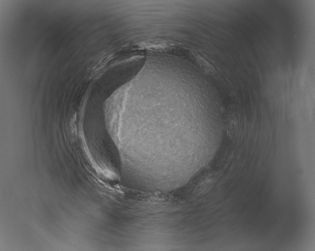 X0000051251010200507011646