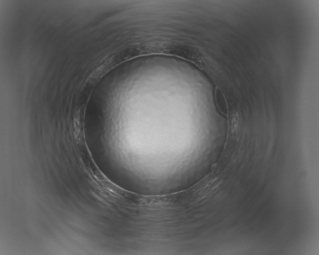 X0000051251011200507011646