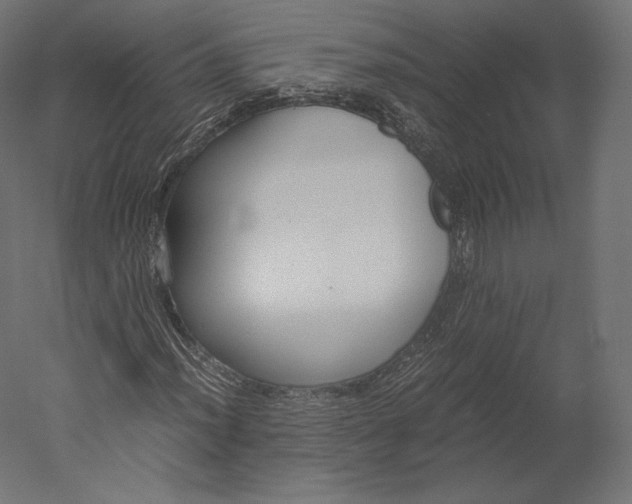 X0000051251012200507011646