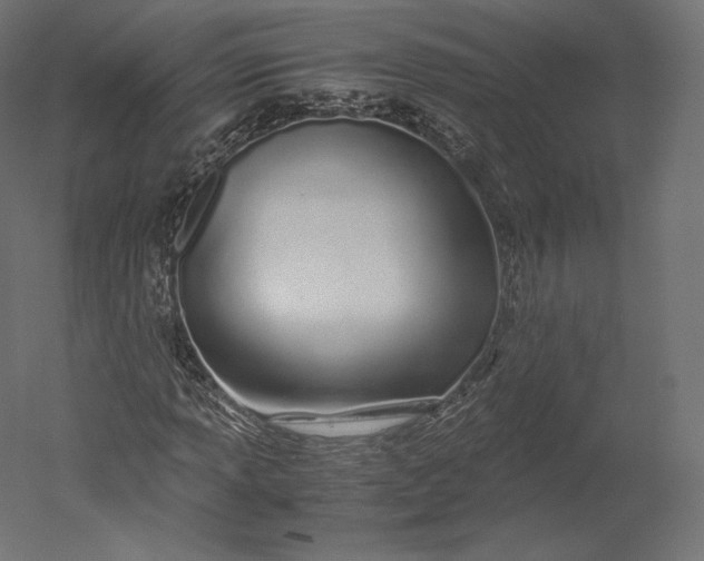 X0000051251013200507011646