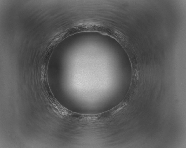 X0000051251014200507011646