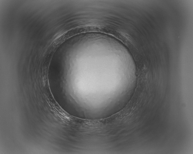 X0000051251015200507011646