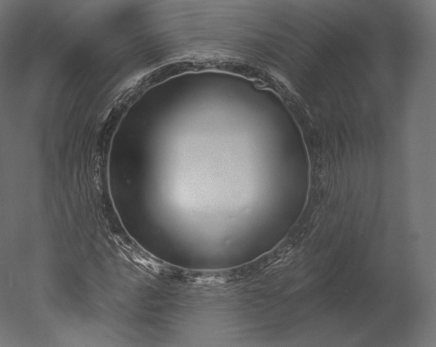 X0000051251016200507011646