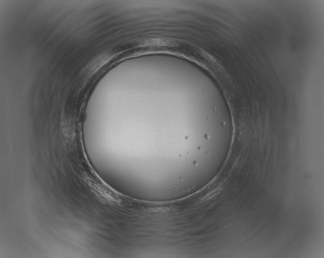 X0000051251017200507011646