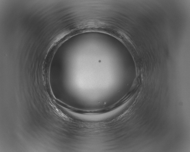 X0000051251018200507011647