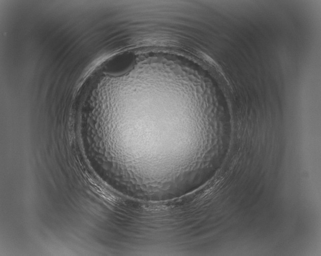 X0000051251019200507011647