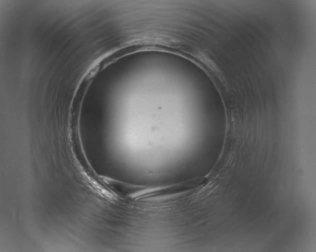 X0000051251020200507011647