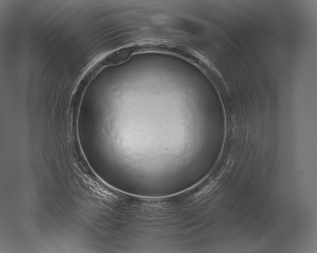 X0000051251021200507011647