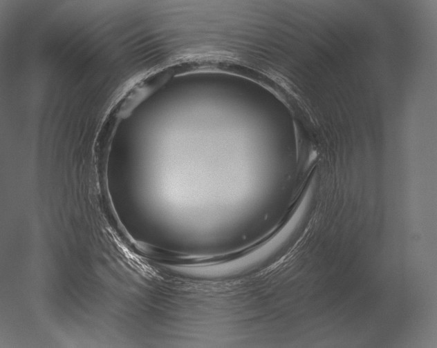 X0000051251022200507011647