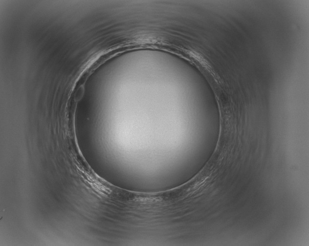 X0000051251023200507011647