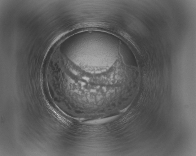 X0000051251024200507011647