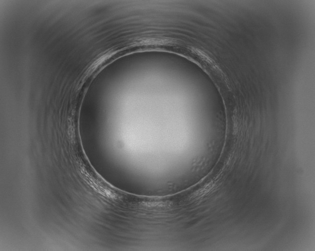 X0000051251025200507011647