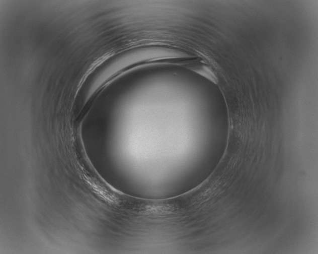 X0000051251026200507011647