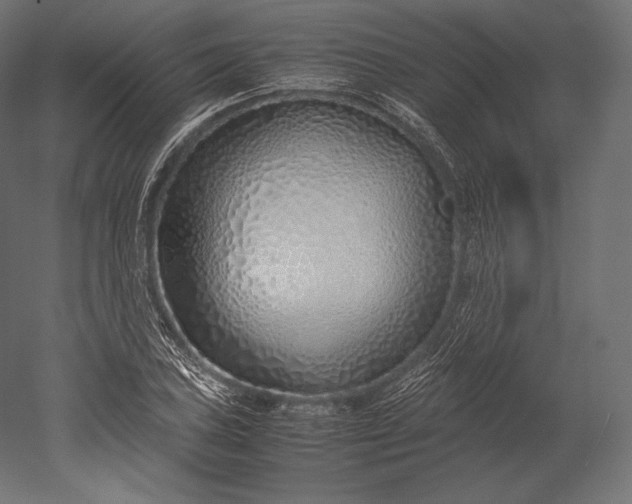 X0000051251027200507011647