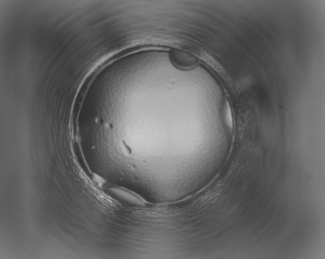 X0000051251028200507011647