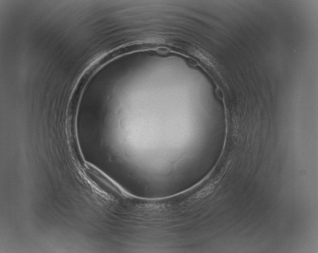 X0000051251029200507011647