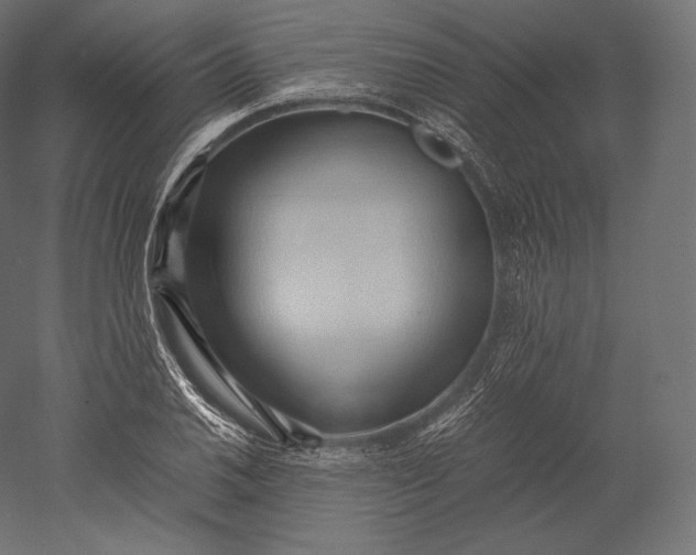 X0000051251030200507011647