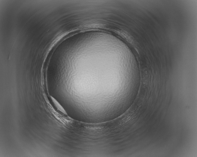 X0000051251031200507011647