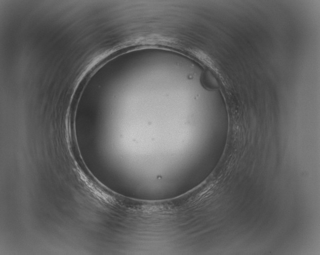 X0000051251032200507011647