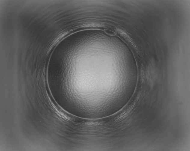 X0000051251033200507011647