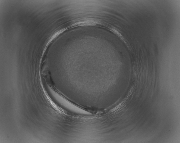 X0000051251034200507011647